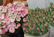 workshop-bloemen-rozen