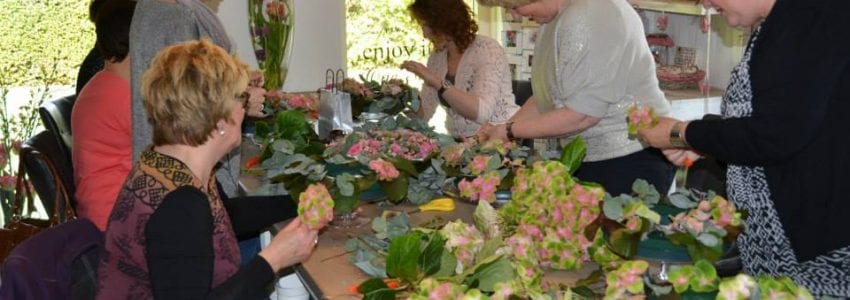 Lenteworkshop 22 maart bij De Wilde Roos